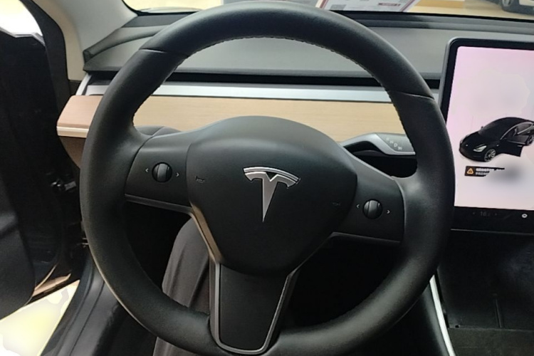 Tesla Model 3 2020 car image #11