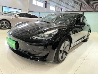 Tesla Model 3 2023 car image 