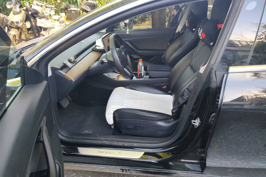 Tesla Model 3 2020 #18 Tesla Model 3 2020 car image #18