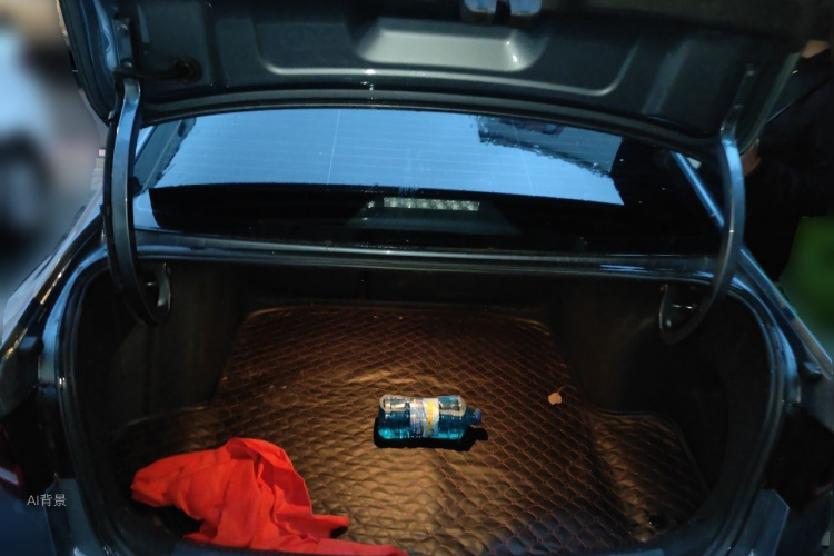 Volkswagen Lavida 2022 car image #21