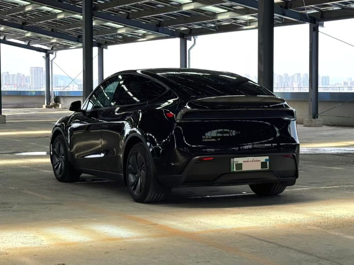 Tesla Model Y 2025 car image #5
