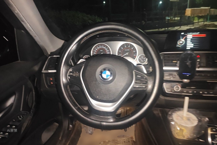 BMW 3 Series 2017 car image #12