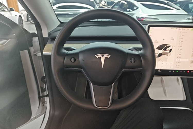 Tesla Model Y 2023 car image #11