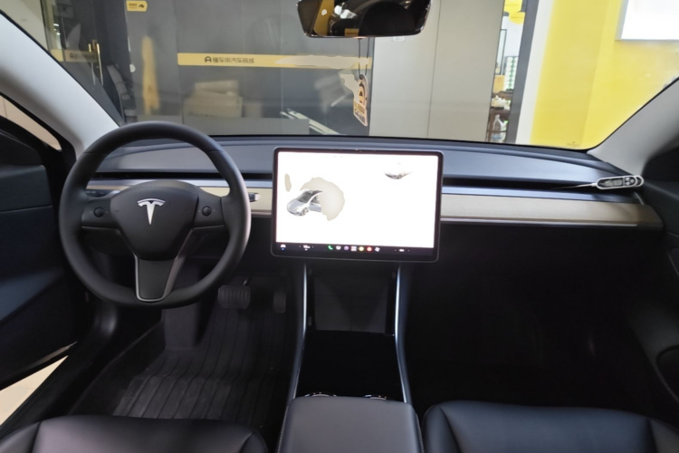 Tesla Model 3 2020 car image #10