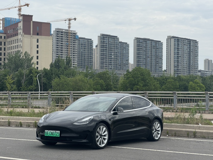 Tesla Model 3 2020 Tesla Model 3 2020 immagine di auto