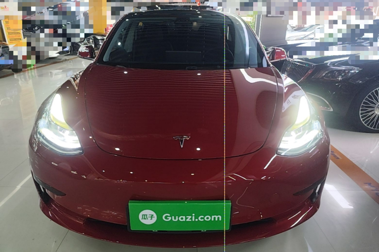 Tesla Model 3 2021 #3 Tesla Model 3 2021 car image #3