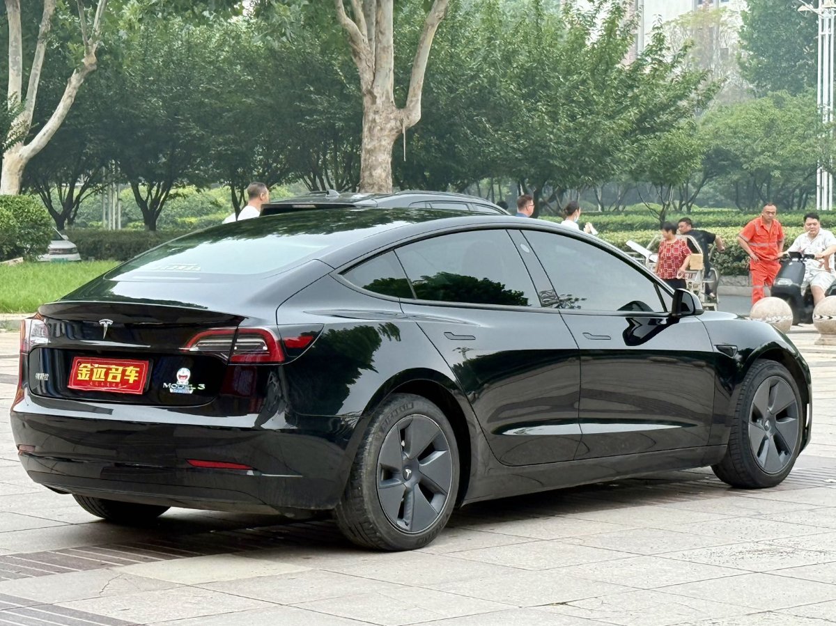 Tesla Model 3 2021 car image #6