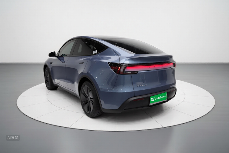 Tesla Model Y 2025 car image #6
