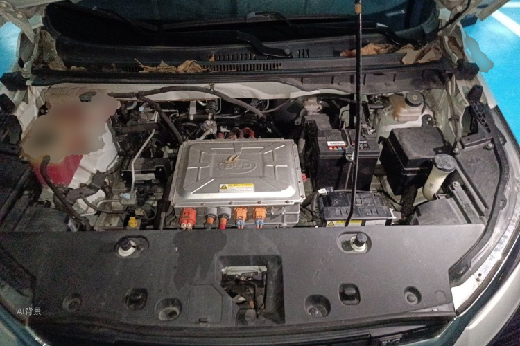 BYD Yuan New Energy 2019 imagen de coche #22