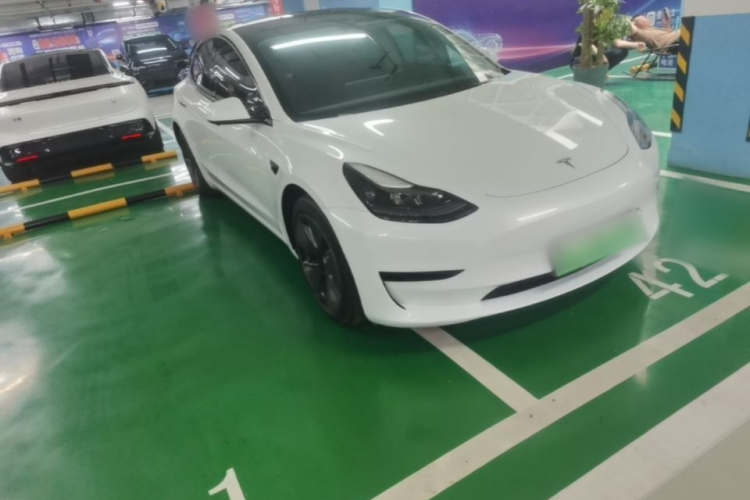 Tesla Model 3 2021 #4 Tesla Model 3 2021 car image #4