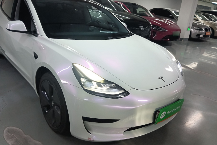 Tesla Model 3 2021 #3 Tesla Model 3 2021 car image #3