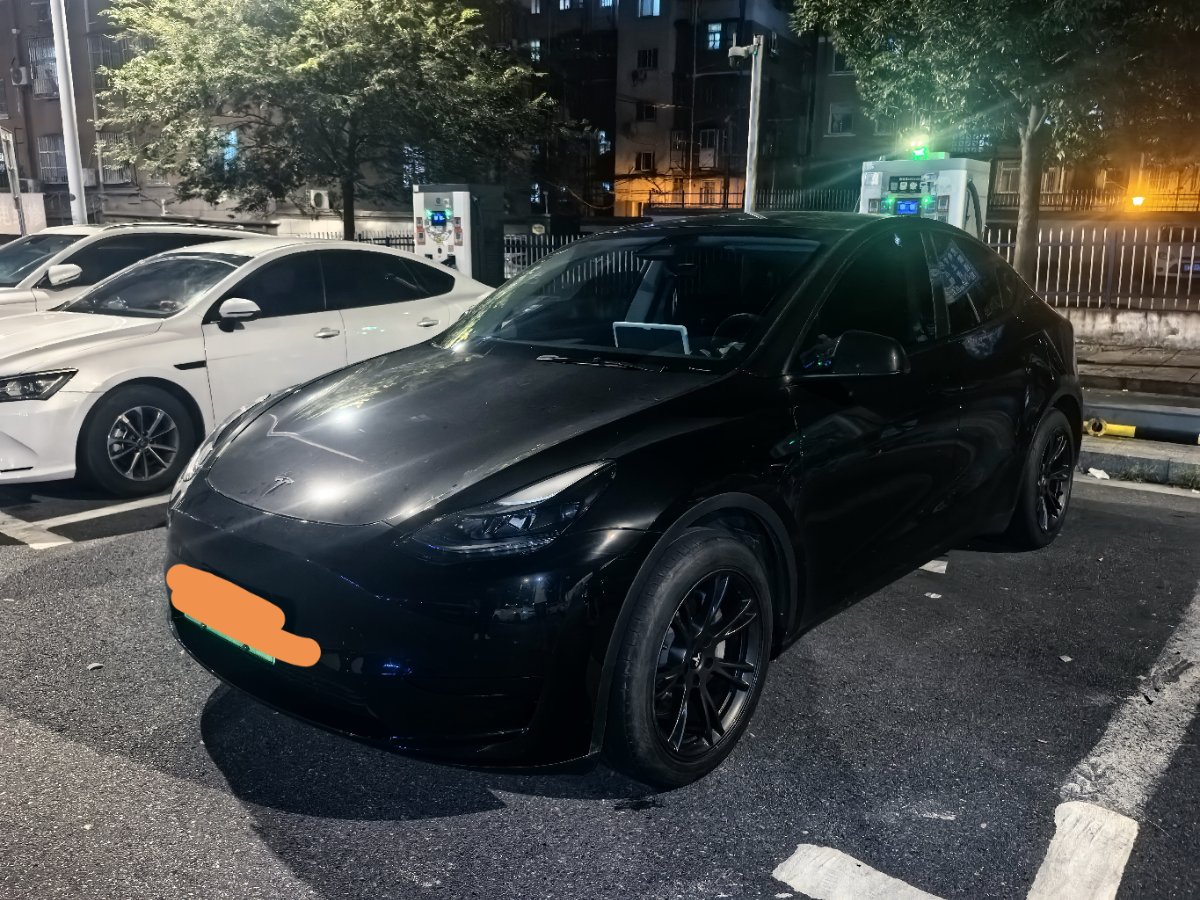 Tesla Model Y 2024 Tesla Model Y 2024 car image