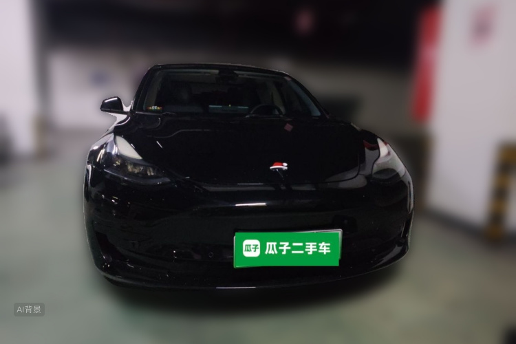 Tesla Model 3 2022 #3 Tesla Model 3 2022 car image #3