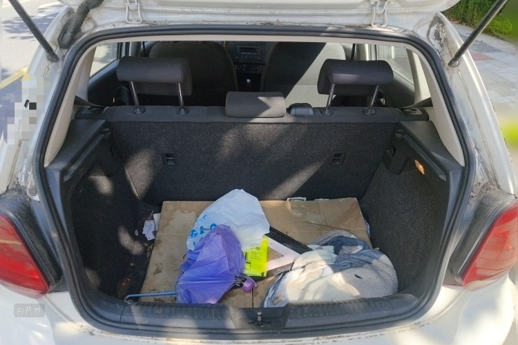 Volkswagen Polo 2019 car image #21