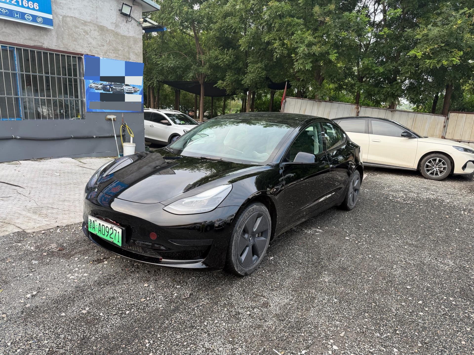 Tesla Model 3 2023 Tesla Model 3 2023 car image