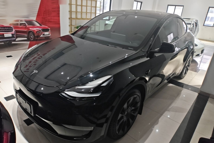 Tesla Model Y 2021 #2 Tesla Model Y 2021 car image #2