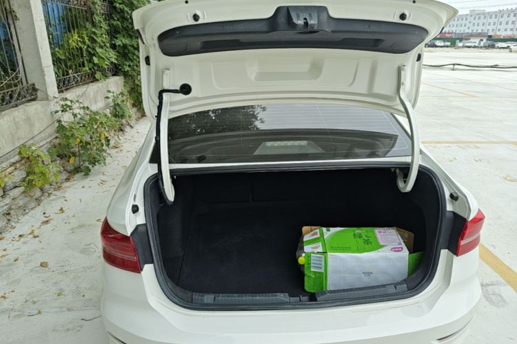 Volkswagen Lavida 2020 car image #19