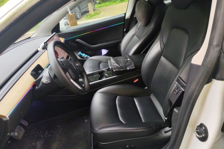 Tesla Model 3 2020 car image #17