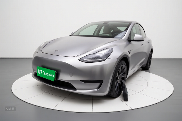 Tesla Model Y 2021 #2 Tesla Model Y 2021 car image #2