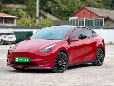 Tesla Model Y 2021 car image 
