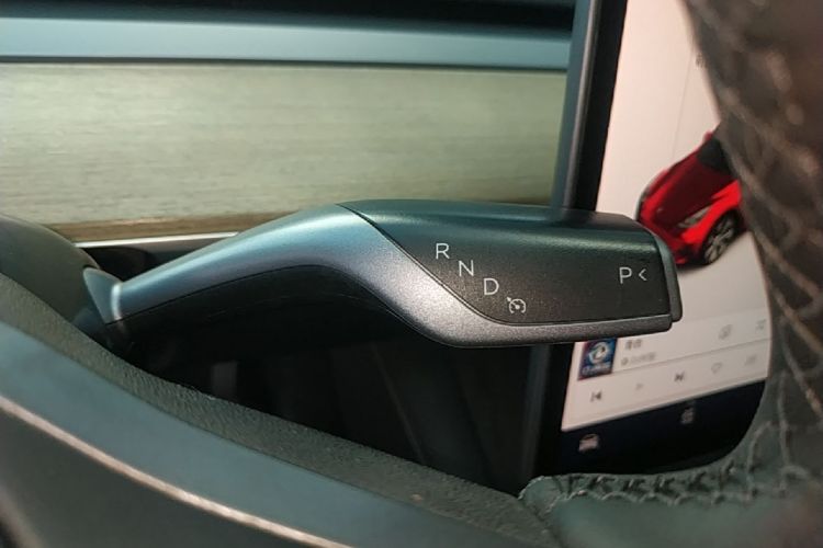 Tesla Model Y 2021 car image #14