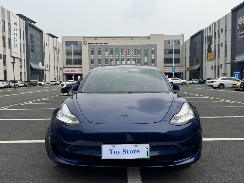 Tesla Model 3 2020 #3 Tesla Model 3 2020 car image #3