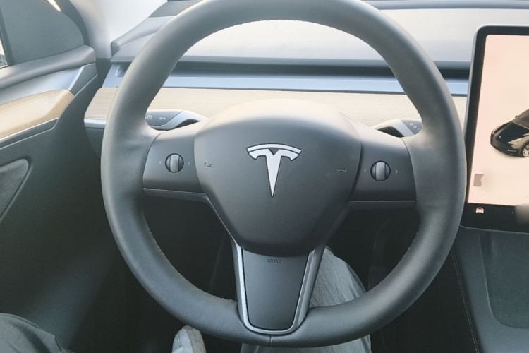 Tesla Model Y 2021 #11 Tesla Model Y 2021 car image #11