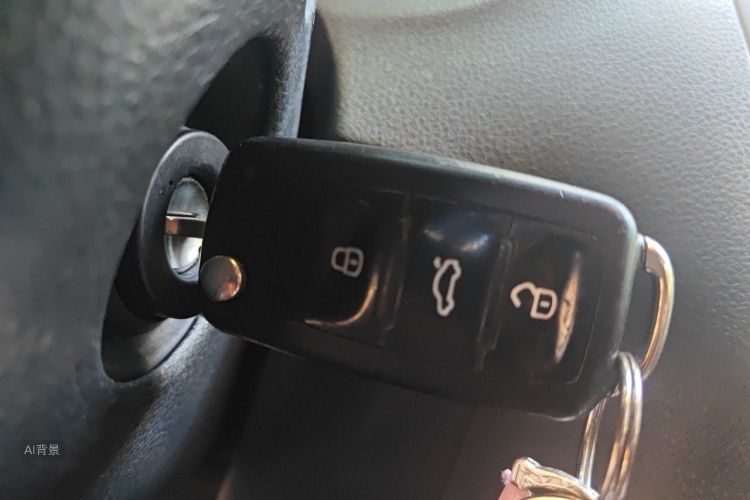Volkswagen Polo 2015 car image #10