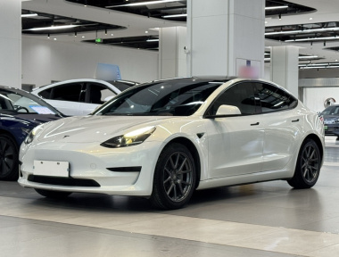 Tesla Model 3 2022 Tesla Model 3 2022 car image