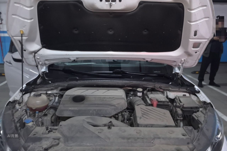 GEELY Emgrand GL 2020 car image #22