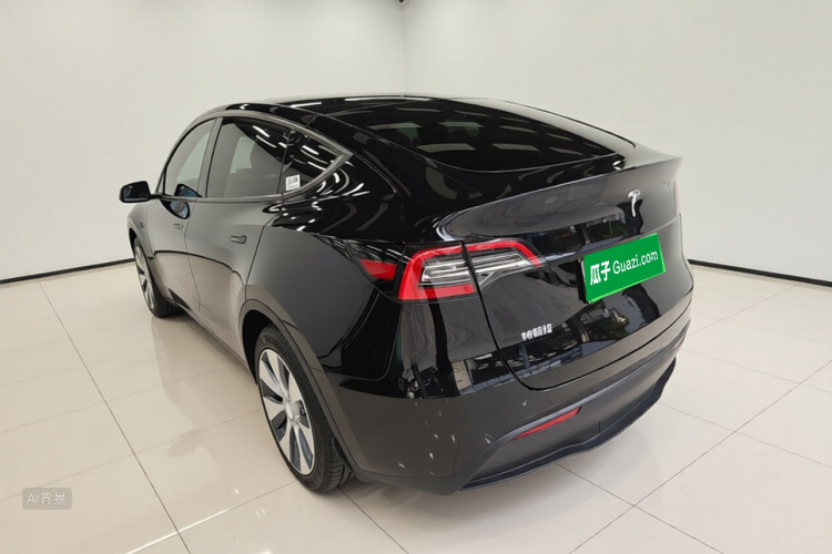Tesla Model Y 2021 car image #5