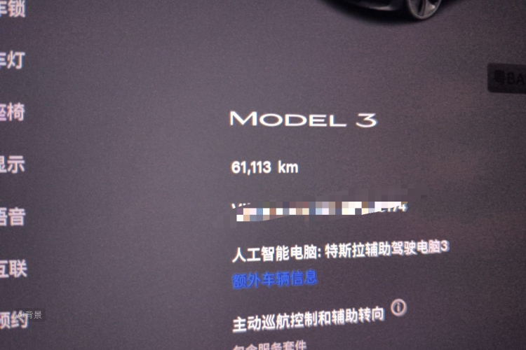 Tesla Model 3 2022 #14 Tesla Model 3 2022 صورة سيارة #14