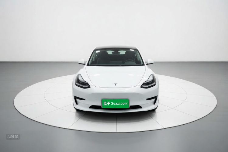 Tesla Model 3 2020 #3 Tesla Model 3 2020 car image #3