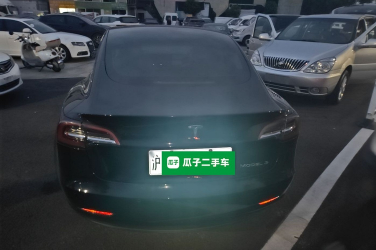 Tesla Model 3 2021 #6 Tesla Model 3 2021 car image #6