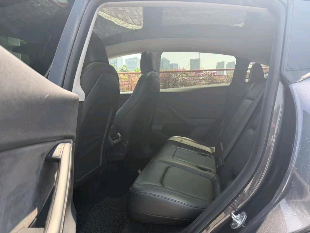 Tesla Model Y 2021 car image #9