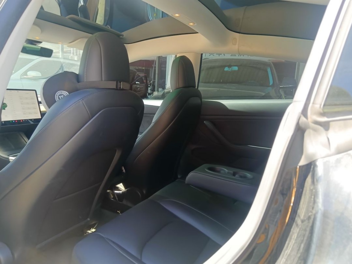 Tesla Model 3 2021 #3 Tesla Model 3 2021 car image #3