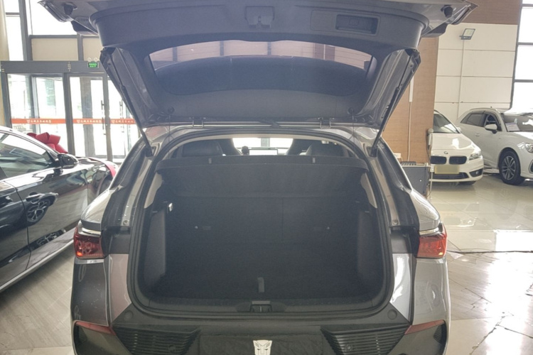 BYD Yuan Plus 2023 car image #19