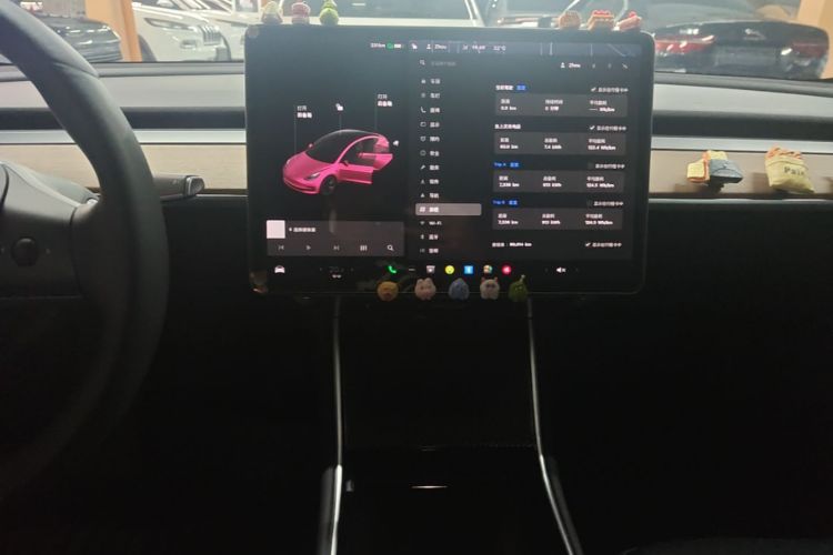 Tesla Model 3 2020 car image #13