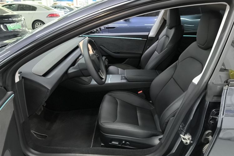Tesla Model 3 2023 imagem de carro #15