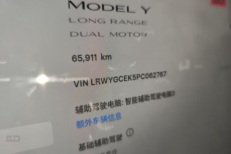 Tesla Model Y 2023 car image #14