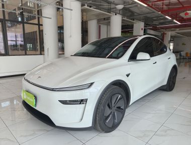 Tesla Model Y 2025 Tesla Model Y 2025 car image
