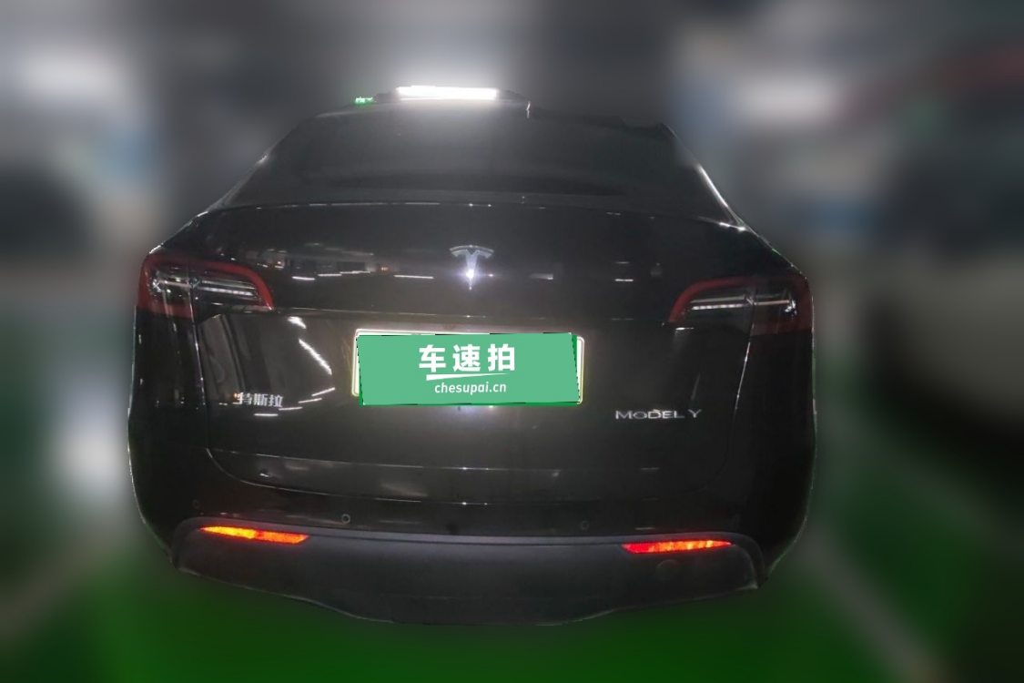 Tesla Model Y 2023 #6 Tesla Model Y 2023 car image #6