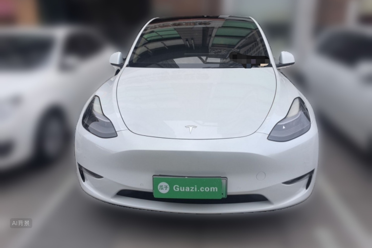 Tesla Model Y 2021 car image #3