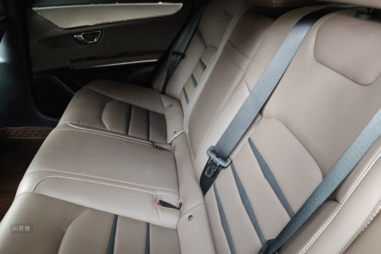 BYD Han 2021 car image #19