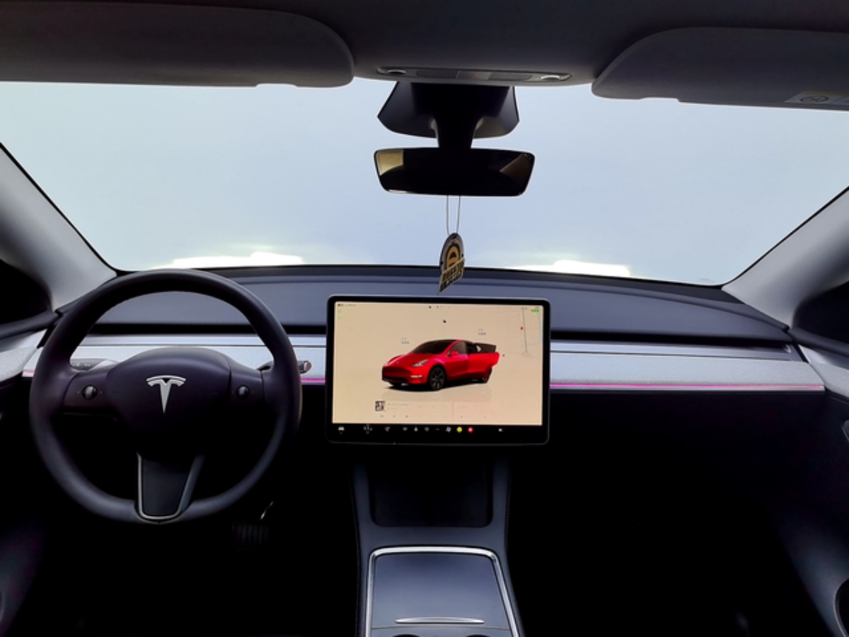 Tesla Model Y 2024 car image #6
