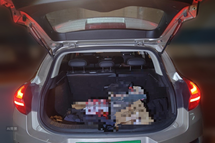GEELY Emgrand GS 2016 car image #21