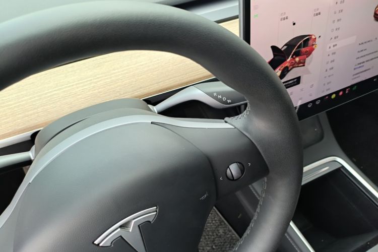 Tesla Model 3 2023 #14 Tesla Model 3 2023 car image #14