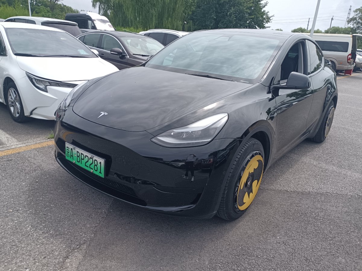 Tesla Model Y 2023 Tesla Model Y 2023 car image