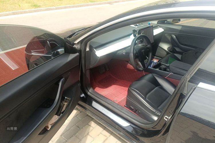 Tesla Model 3 2020 car image #18
