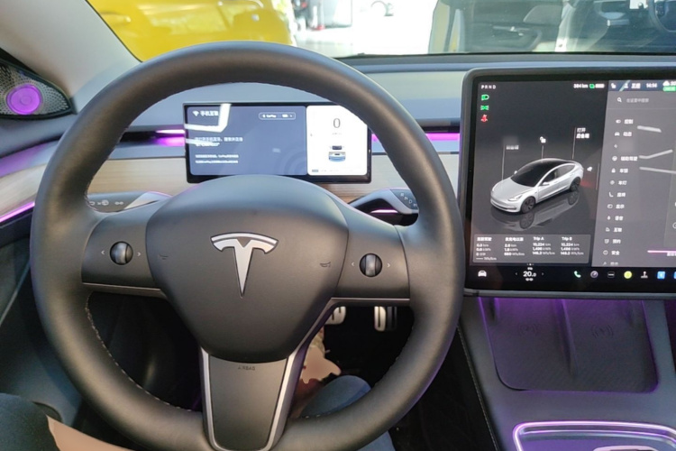 Tesla Model 3 2023 car image #10